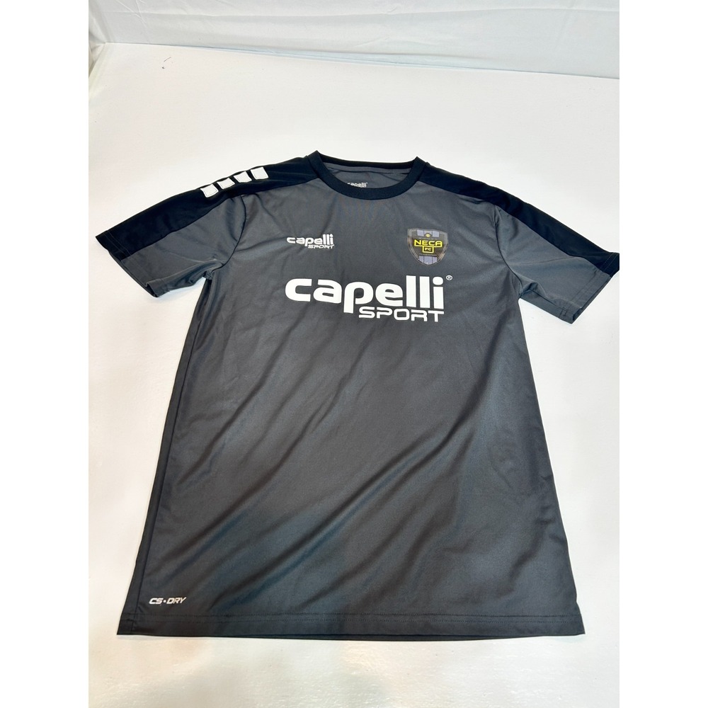 Capelli Sport Men's Crew Neck Shirt Medium‎ Short Sleeve Gray